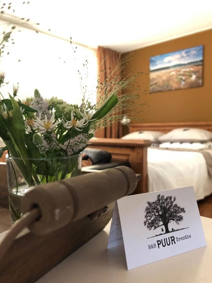 B&B Puur Drenthe Elp Ngoại thất bức ảnh